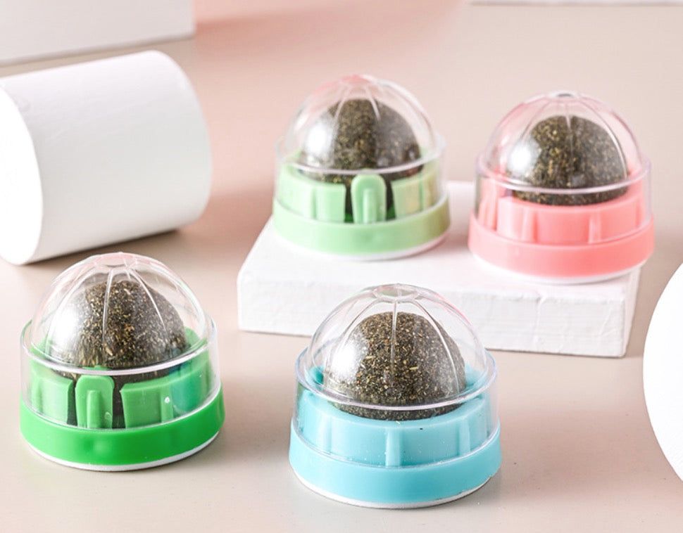 Catnip ball for chewing cat toy