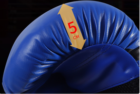 Training Boxing Gloves