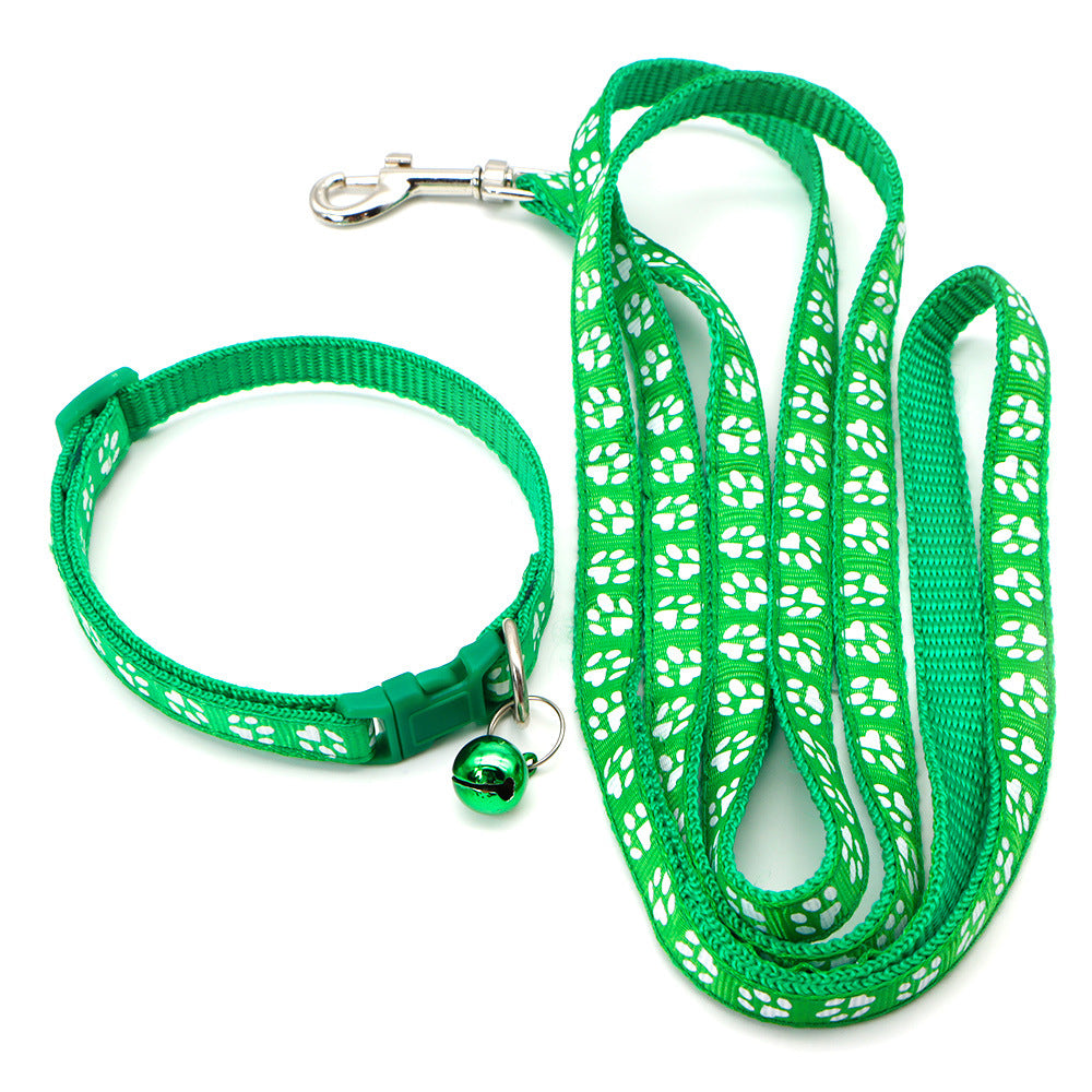 Pet collar & leash