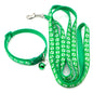 Pet collar & leash