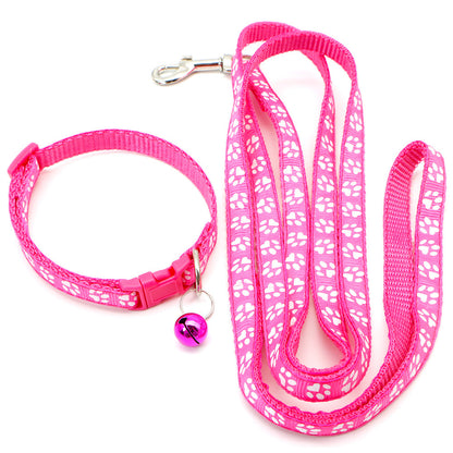 Pet collar & leash