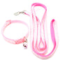 Pet collar & leash