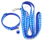 Pet collar & leash