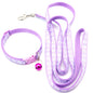 Pet collar & leash