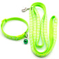 Pet collar & leash