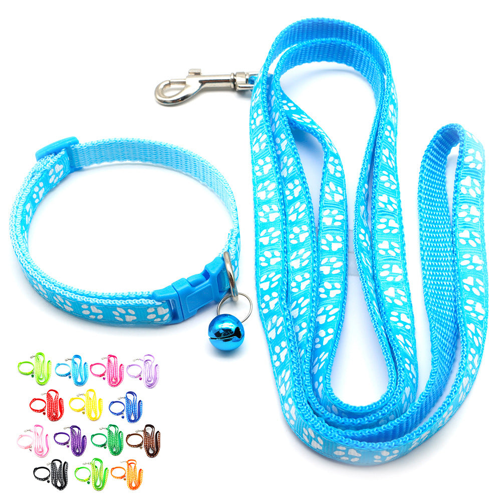 Pet collar & leash