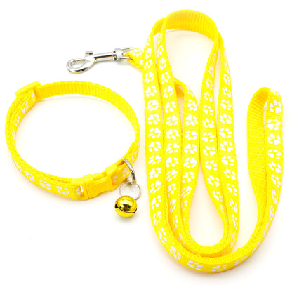 Pet collar & leash