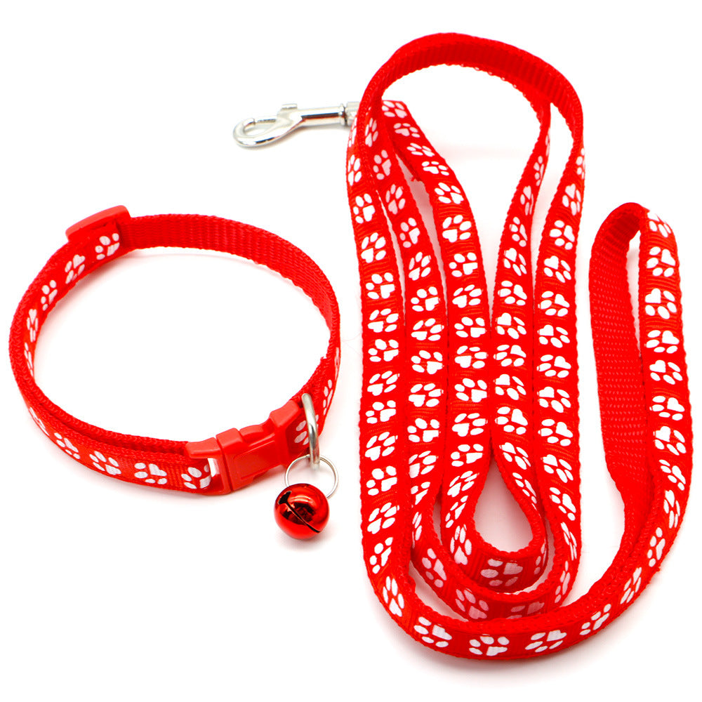 Pet collar & leash